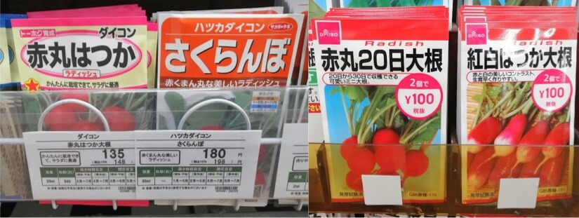 ハツカダイコンのタネ ダイソー