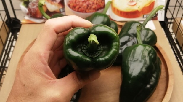 ポブラノトウガラシ poblano