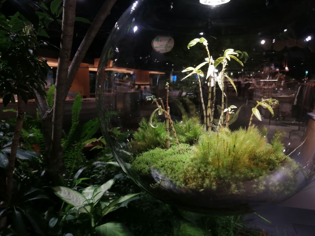KYOTO GOOD NATURE HOTEL