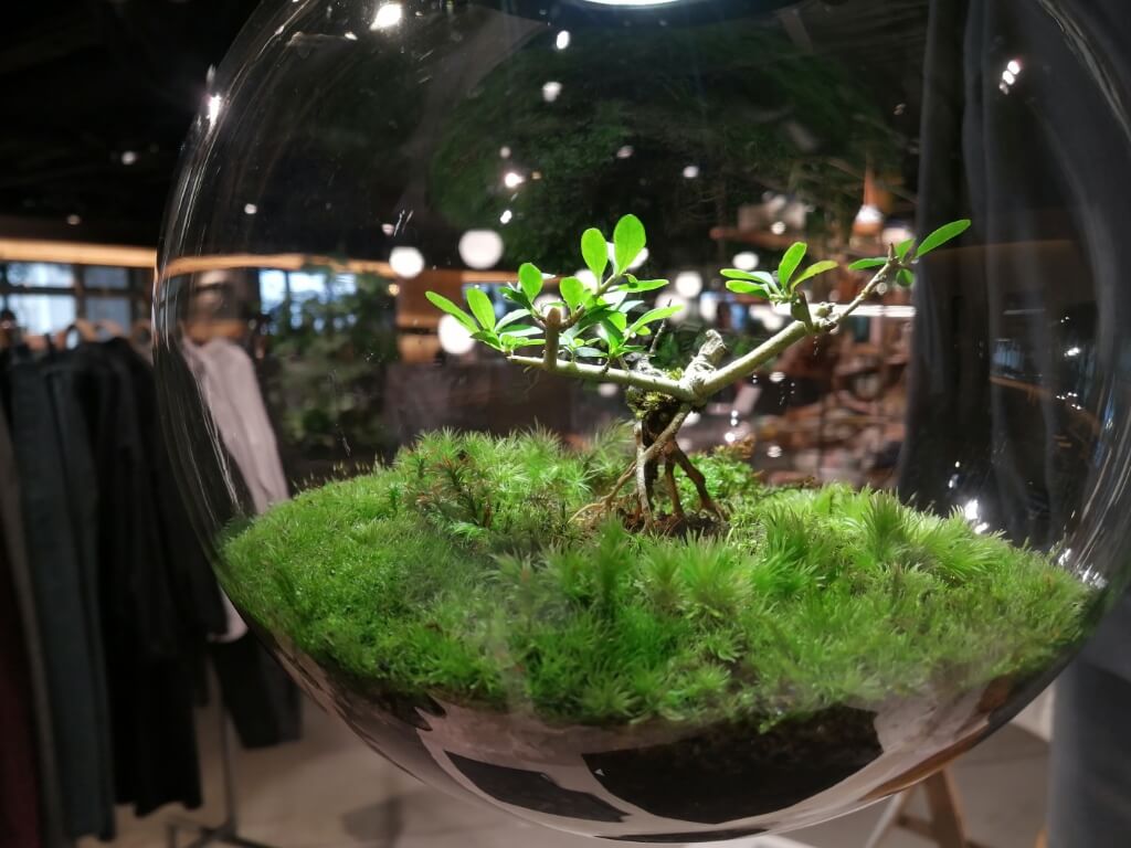 KYOTO GOOD NATURE HOTEL