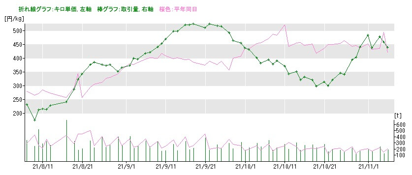 トマトの市場価格 変動とその理由 21年12月19日最新版 はたけもん トマトの市場価格 変動とその理由 21年12月19日最新版 はたけもん