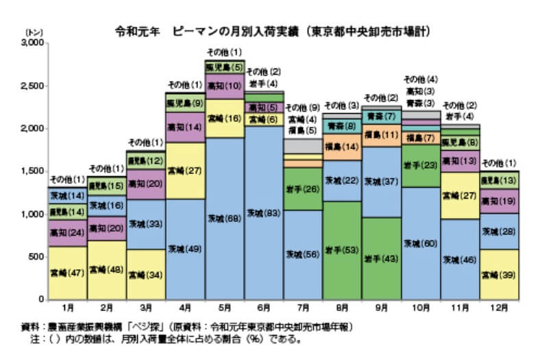 大田市場におけるピーマンの月別入荷量実績(令和元年)