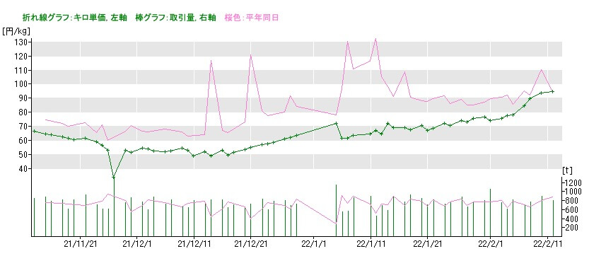 2022年2月13日キャベツの市場価格