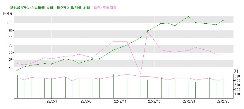 ダイコンの市場価格2022年2月26日