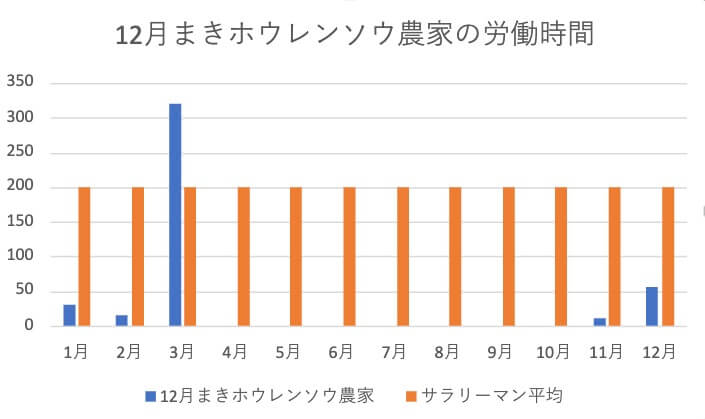 12月まきホウレンソウ 農家の労働時間