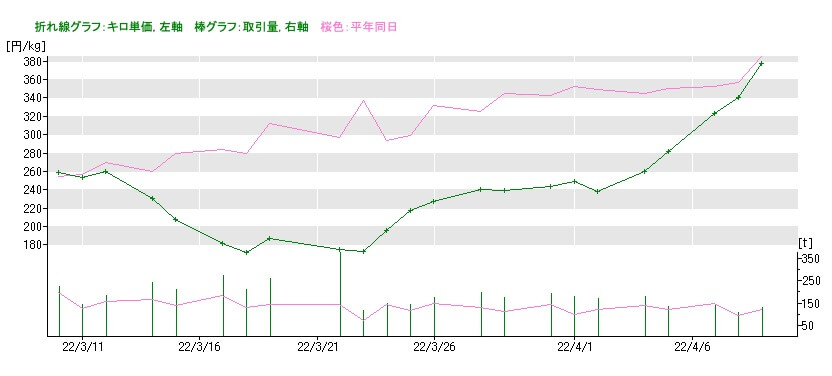 ブロッコリーの市場価格2022年4月10日