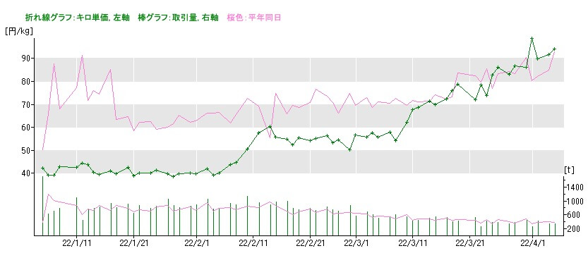 ハクサイの市場価格2022年4月6日
