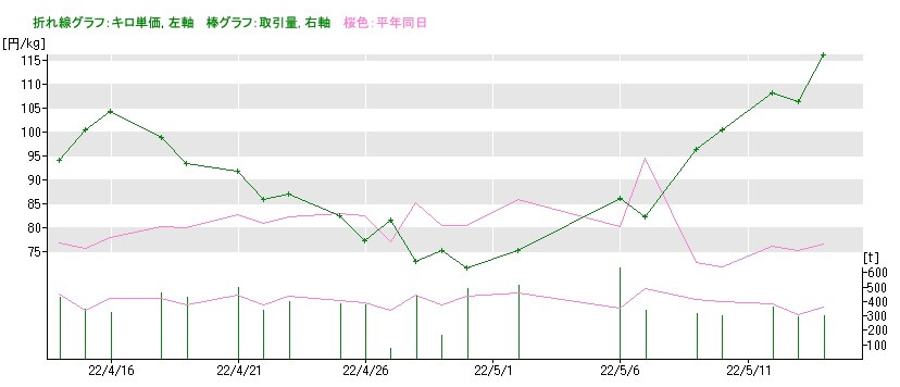 ダイコンの市場価格の推移2022年5月15日