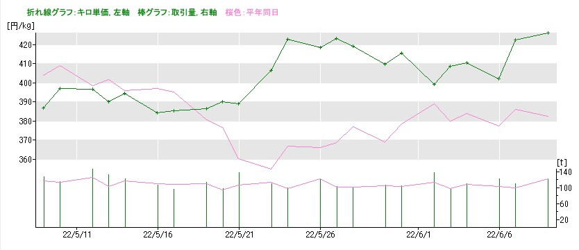 白ネギの市場価格2022年6月5日