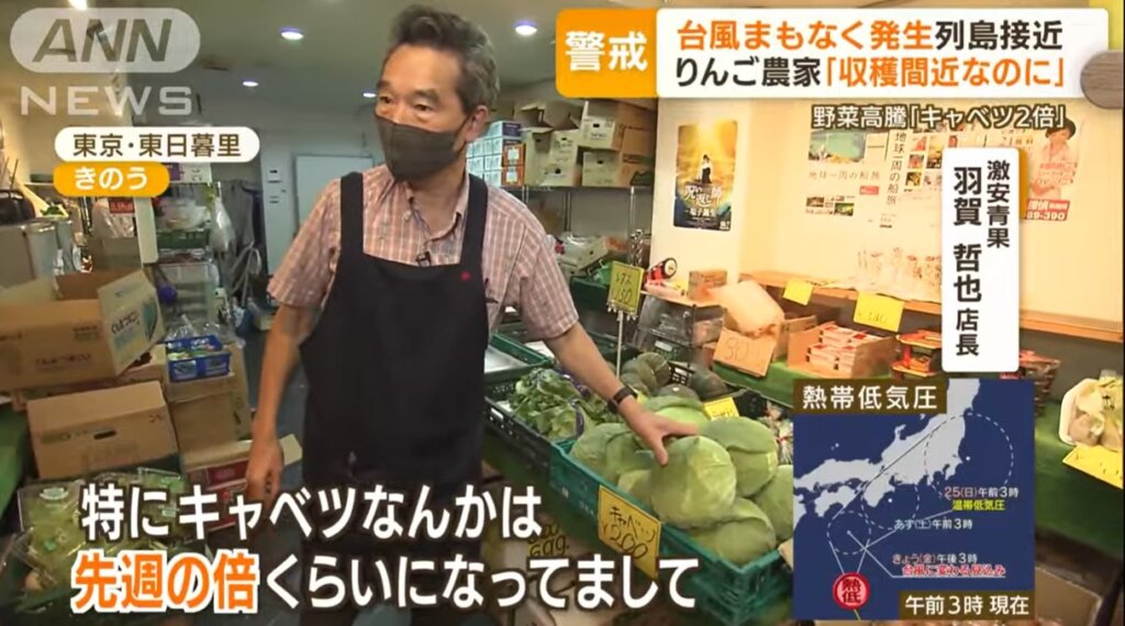 キャベツ価格の上昇2022年9月