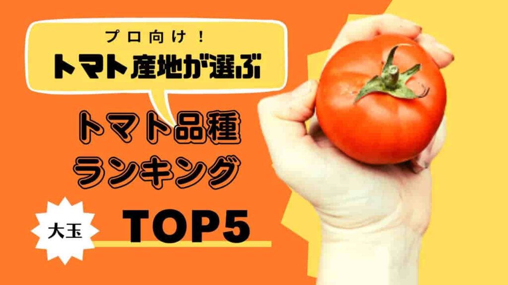 大玉トマト品種ランキングのアイキャッチ画像