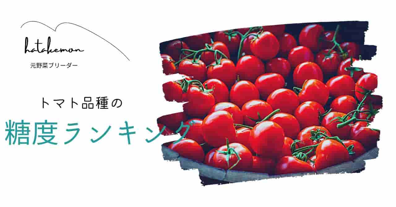 トマト品種の糖度ランキング