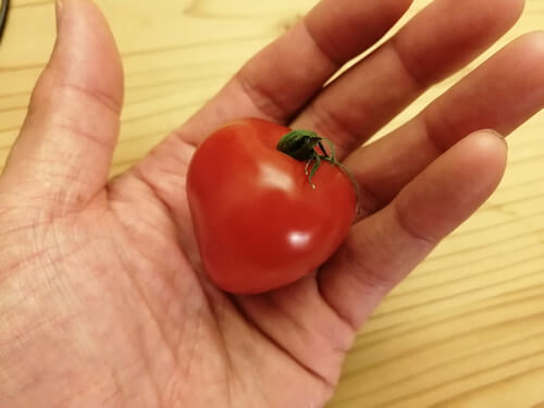 トマトベリー