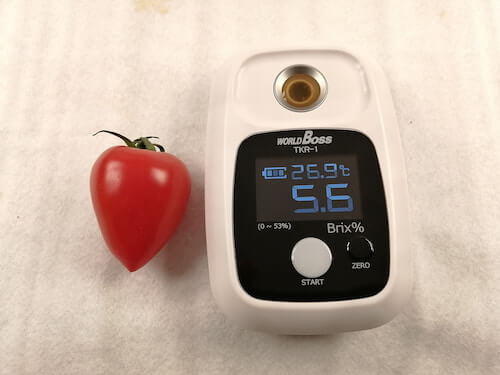 トマトベリー　糖度